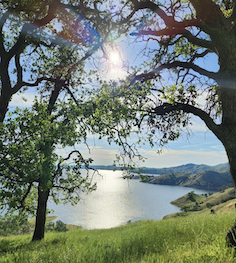 BLS/CPR Renewal Course - April